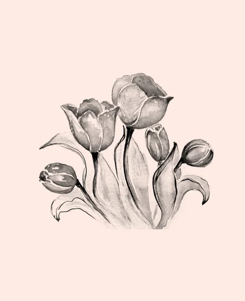 Pintura Acuarela Vintage Flor Tulipán — Foto de Stock