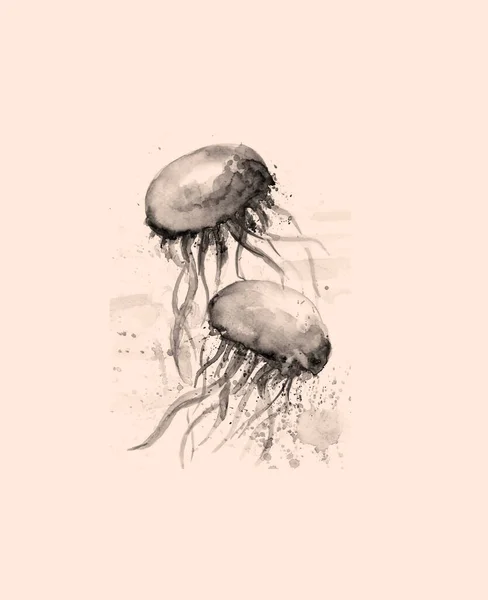 Pittura Acquarello Vintage Medusa — Foto Stock