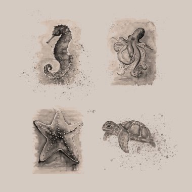 Deniz hayvanlarının klasik akvaryum resimleri..