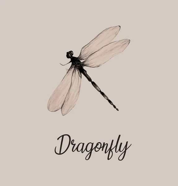 Vintage Ακουαρέλα Ζωγραφική Dragonfly Εικονογράφηση — Φωτογραφία Αρχείου