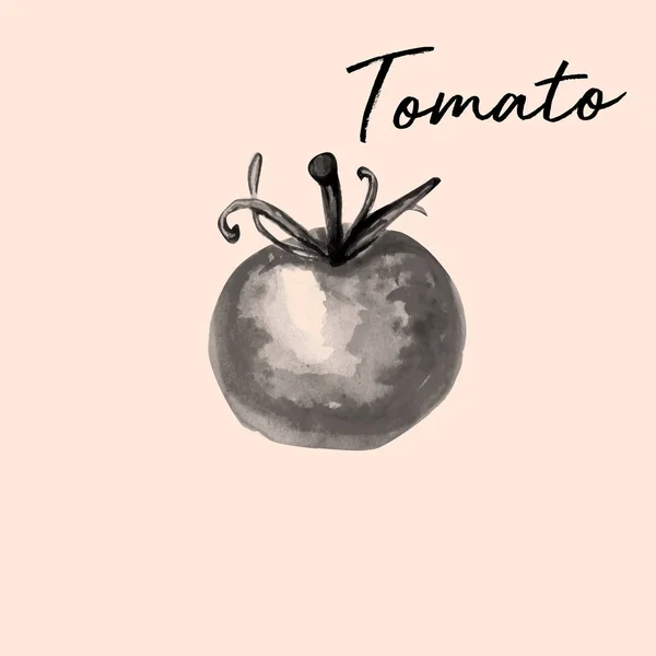 Aquarelle Disegnato Mano Illustrazione Pomodoro — Foto Stock