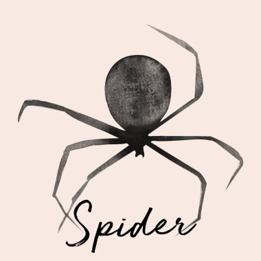 Örümcek çiziminden yapılmış Kova El.