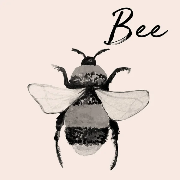 Akvarel Ručně Kreslené Včelí Ilustrace — Stock fotografie