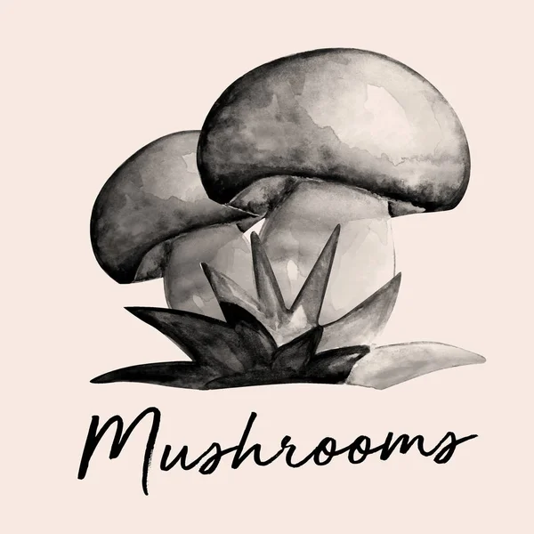 Aquarelle Mão Desenhada Ilustração Cogumelos — Fotografia de Stock