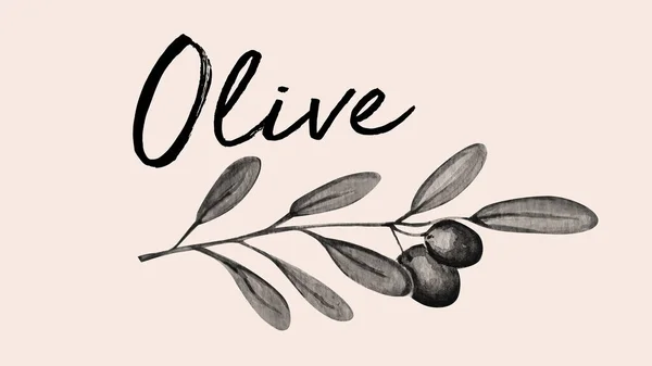 Aquarelle Illustrazione Mano Olive — Foto Stock