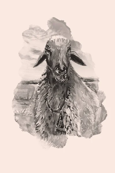アクエラレ子羊のヴィンテージイラストの手描き — ストック写真