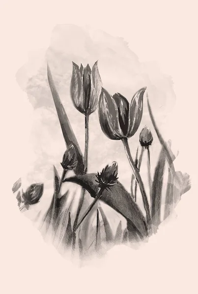 Aquarelle Ручная Работа Винтажной Иллюстрации Цветов Тюльпана — стоковое фото