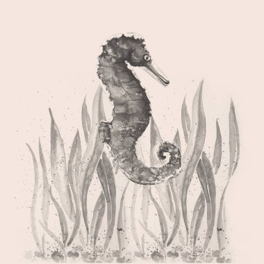 Deniz atı illüstrasyonu çizilmiş Aquarelle Hand