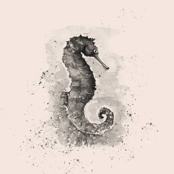 Aquarelle Hand Drawn Seahorse Illustration — Stock Photo, Image