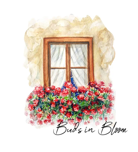 花と古い窓のアクエラレの図面 開花中の芽 美術のイラスト — ストック写真