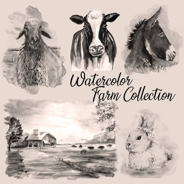 Watercolor Drawing Art Illustration Farm Animal — Stock Photo, Image