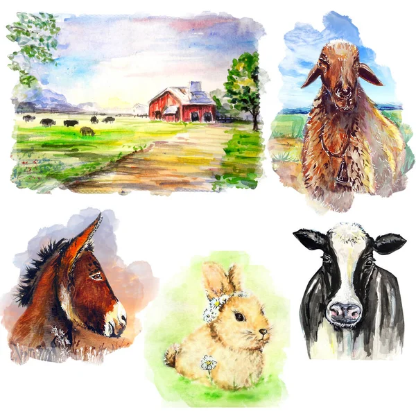 Watercolor Drawing Art Illustration Farm Animal — Stock Photo, Image