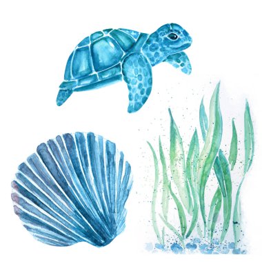 Kaplumbağa, kabuk ve deniz sanatının suluboya çizimi.