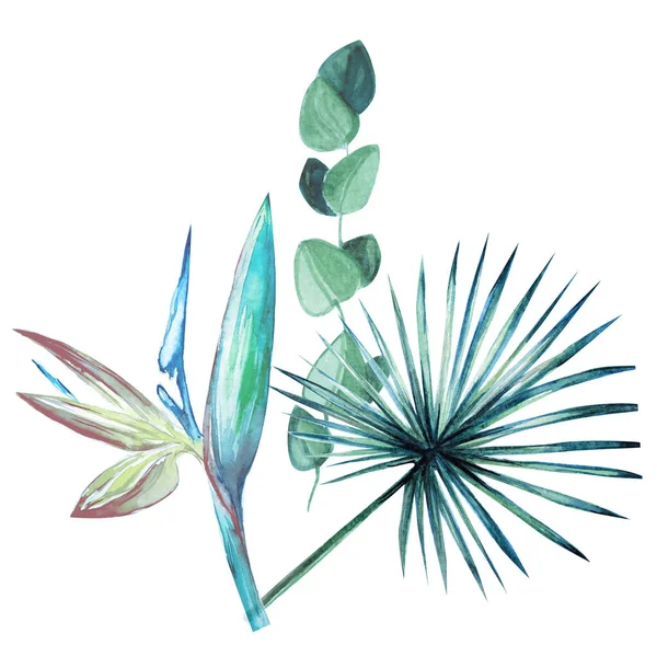 棕榈树的水彩画艺术图解 异国情调的花卉艺术 — 图库照片