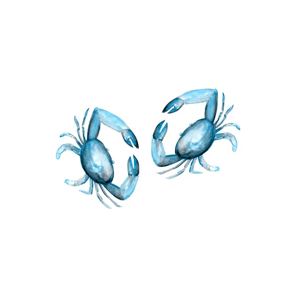 Padrão Aquarela Desenhado Mão Caranguejos Animais Marinhos — Fotografia de Stock
