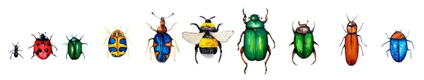 Watercolor Seamless Pattern Bugs — Stock Photo, Image