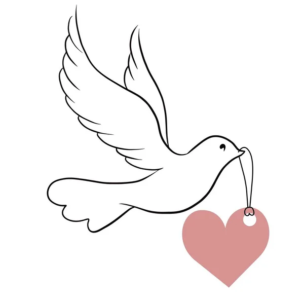 Elegante Pájaro Paloma Con Corazón Ilustración Vectorial — Vector de stock