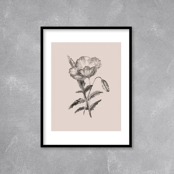 Aquarel Schilderen Van Papaver Bloem Illustratie — Stockfoto