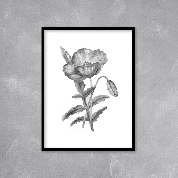 Aquarel Schilderen Van Papaver Bloem Illustratie — Stockfoto