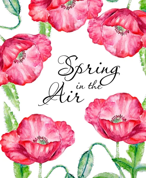 Tavasz Levegőben Akvarell Festése Mák Virág Illusztráció — Stock Fotó
