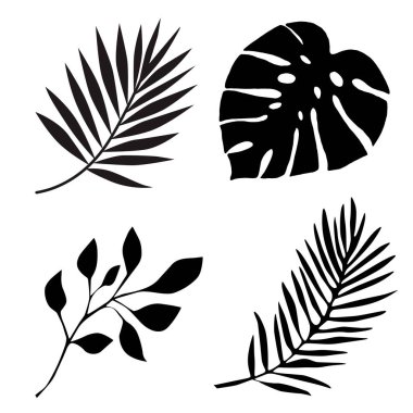 Tropikal palmiye yaprağı resimleme arkaplanı