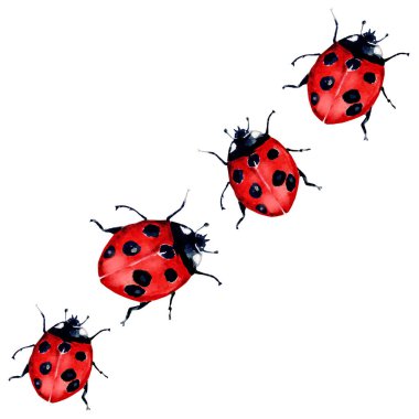 Güzel kırmızı bayan böcek çizimi