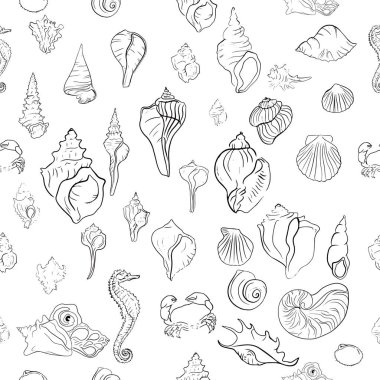 Zarif deniz kabukları, vektör sanat deseni çizimi.