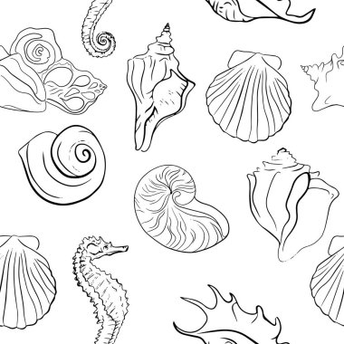 Zarif deniz kabukları, vektör sanat deseni çizimi.