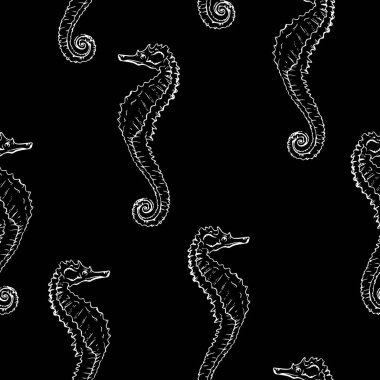 Zarif deniz atı, vektör sanat deseni çizimi.