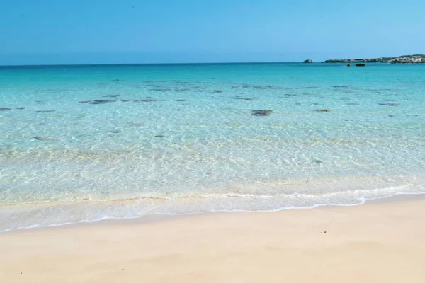 Hermosa Costa Del Mar Chipre Paisaje Verano — Foto de Stock