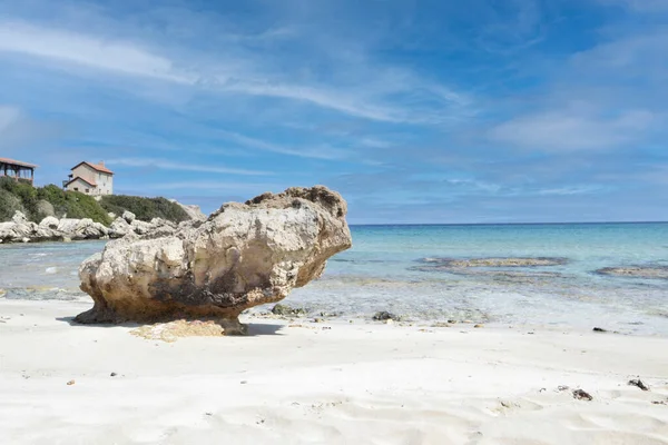 Schöne Zyprische Meeresküste Sommerlandschaft — Stockfoto