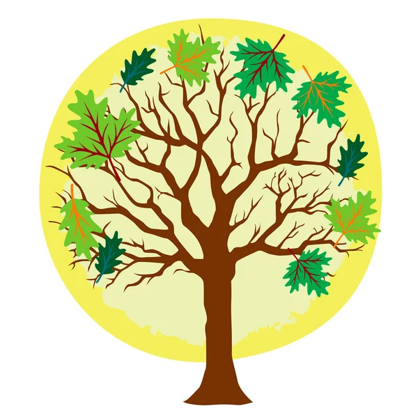 Våren Träd Med Blad Vektor Illustration — Stock vektor