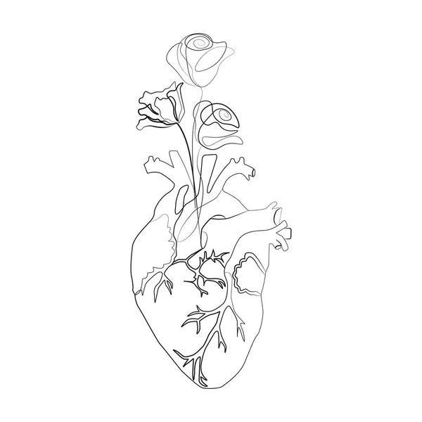 Esquisse Art Linéaire Fleurs Coeur Humain Illustration Vectorielle — Image vectorielle