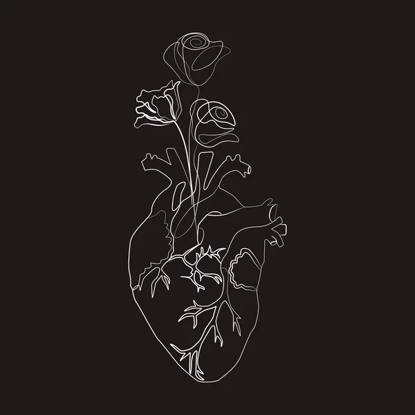 İnsan kalbi çiçeklerinin çizimi, vektör illüstrasyonu