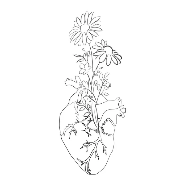 Line Art Sketch Human Heart Flowers Vector Illustration — Stock Vector
