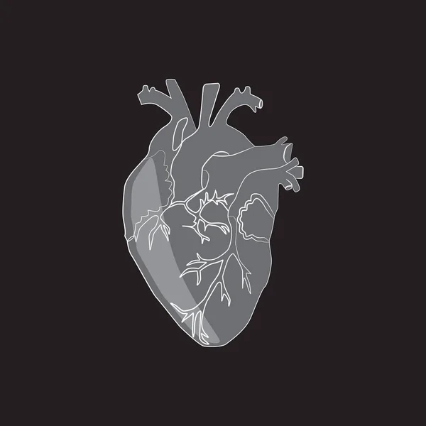 Čárový Náčrt Lidského Srdce Vektorová Ilustrace — Stockový vektor