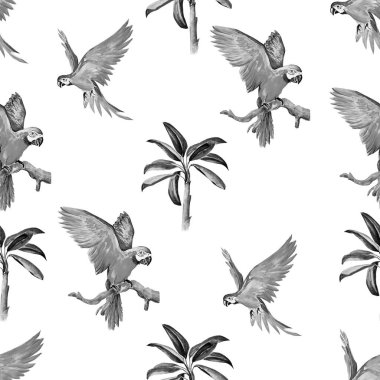 Egzotik papağan desensiz suluboya çizimi.