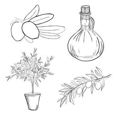 Zeytin Çizgisi Sanat Koleksiyonu. Vektör illüstrasyonu.