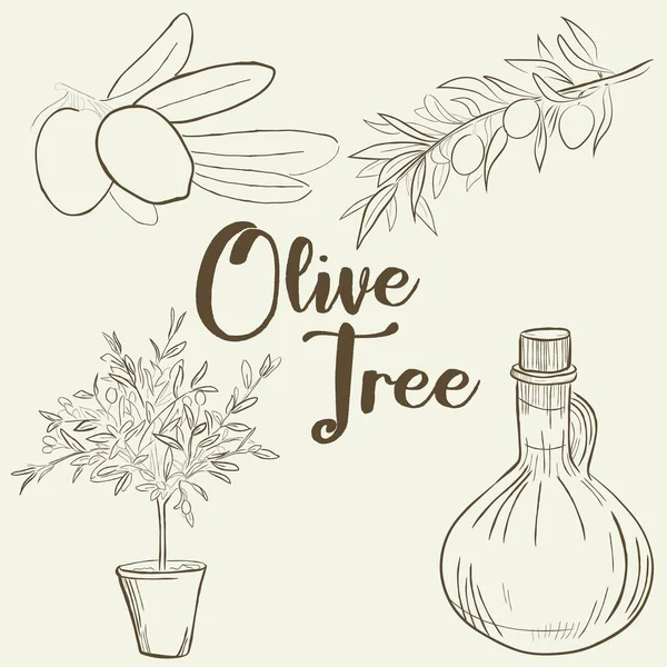 Set Line Art Olive Tree Vector Illustration Royalty Free Stock Illustrations