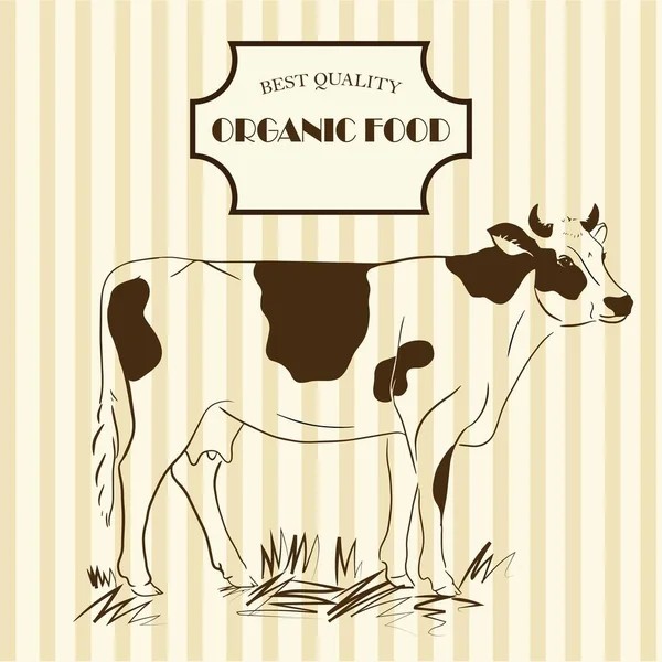 Organic Food Design Packing Line Drawing Cow Vector Illustration Stock Vector