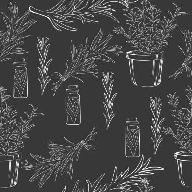  Biberiye bitkisinin çizgi çizimi. Vektör illüstrasyonu.