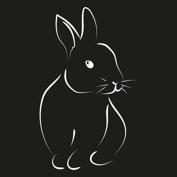 Outline Drawing Rabbit Vector Illustration — Stock Vector