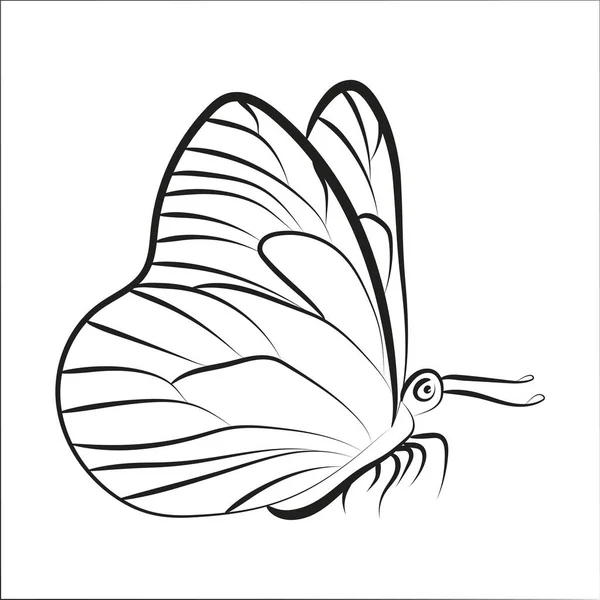 Elegáns Körvonalas Pillangó Fehér Háttér — Stock Vector