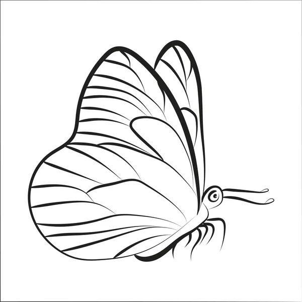 Elegante Farfalla Outline Sfondo Bianco — Vettoriale Stock