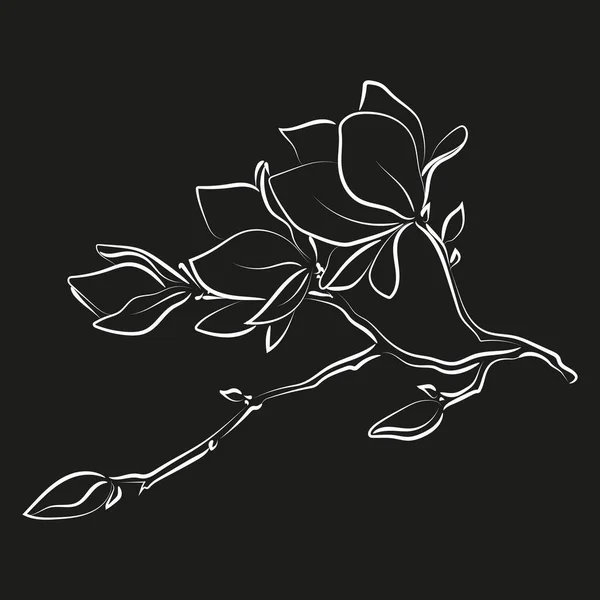 Elegante Skizze Von Magnolienblüten Vektorillustration — Stockvektor