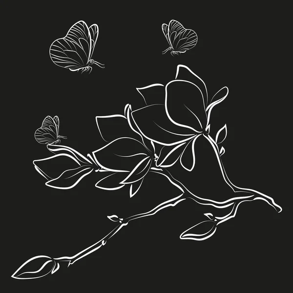 Esbozo Elegante Flores Magnolia Ilustración Vectorial — Vector de stock