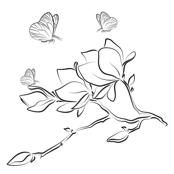 Esquisse Élégante Des Contours Des Fleurs Magnolia Illustration Vectorielle — Image vectorielle