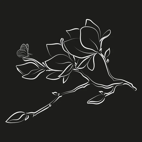 Esbozo Elegante Flores Magnolia Ilustración Vectorial — Vector de stock