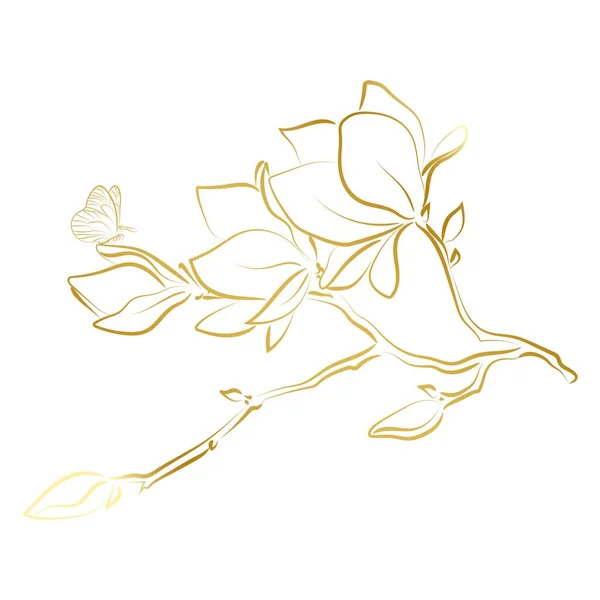 Elegant Golden Outline Sketching Magnolia Flowers Vector Illustration — ストックベクタ