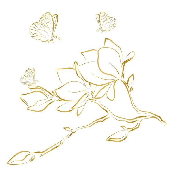 Elegant Golden Outline Sketching Magnolia Flowers Vector Illustration — ストックベクタ